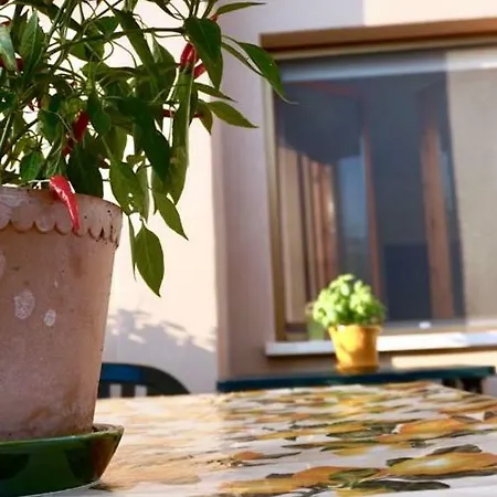 Affittacamere Residenza Il Cacao Strozzacapponi